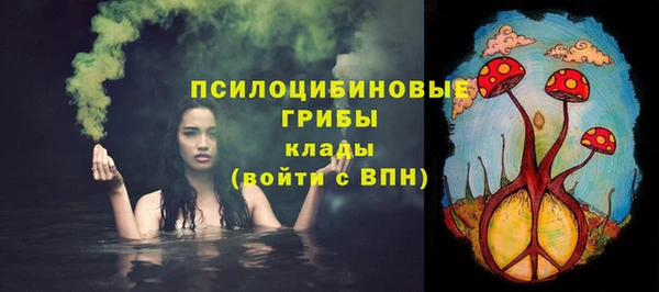 дмт Няндома