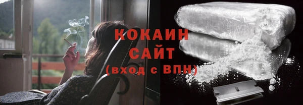 дмт Няндома