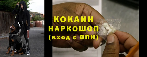 дмт Няндома