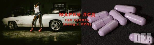 тгк Бикин