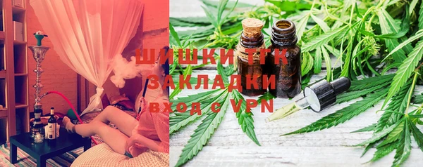 гашик Нягань