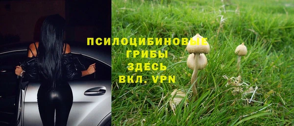 гашик Нягань
