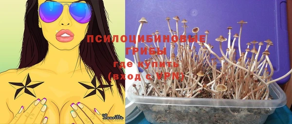 дмт Няндома