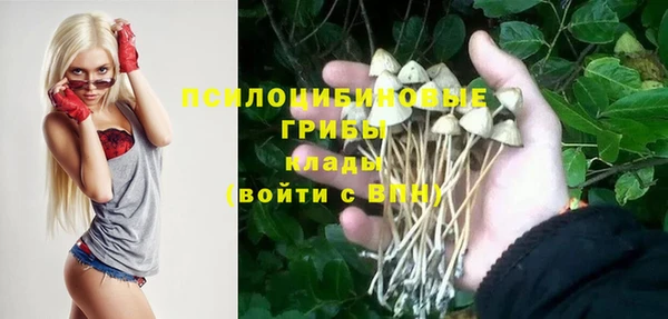 дмт Няндома