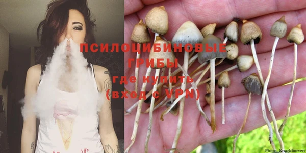 гашик Нягань