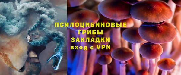 крисы Нязепетровск