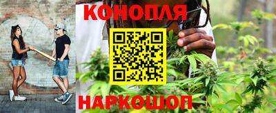 PSILOCYBIN Владикавказ