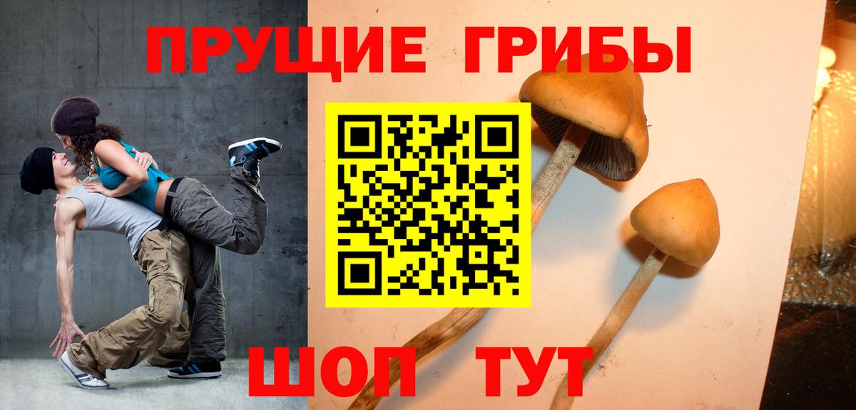 Псилоцибиновые грибы Psilocybe  Галлюциногенные грибы Psilocybe  закладка  Вход с VPN  Барнаул 